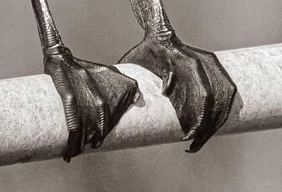 31: DSC_0091-Website-3