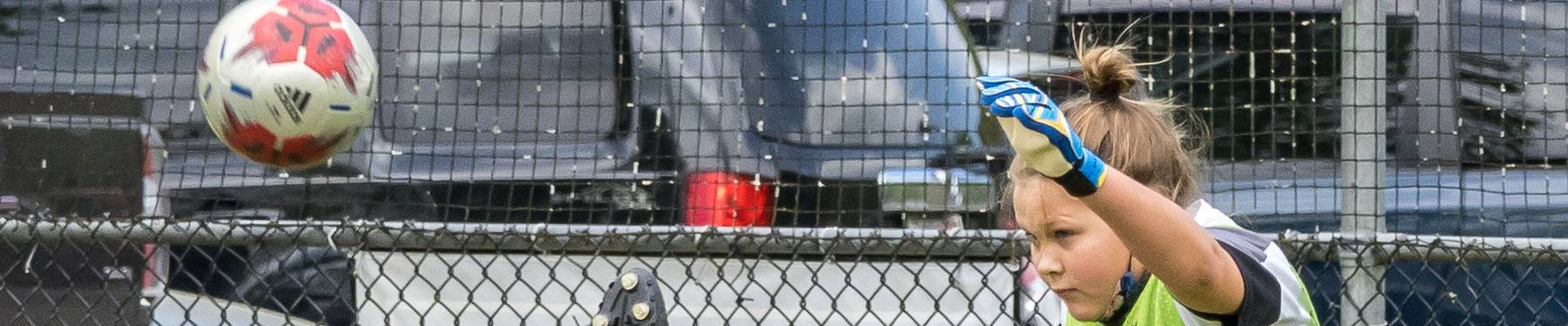 Click to show or hide the buttons